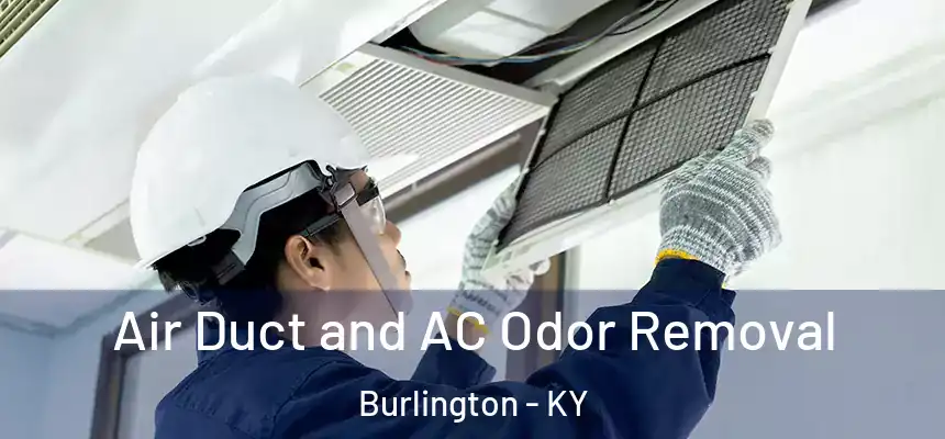  Air Duct and AC Odor Removal Burlington - KY