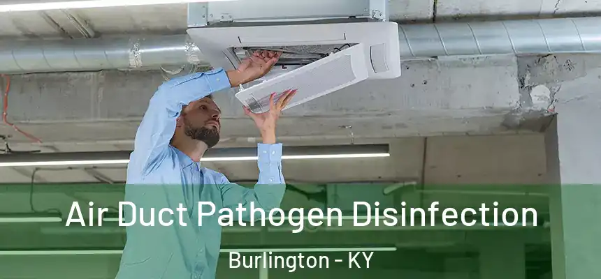Air Duct Pathogen Disinfection Burlington - KY