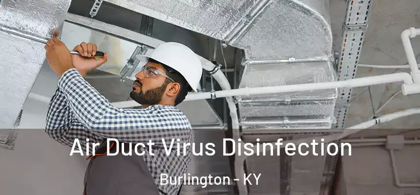  Air Duct Virus Disinfection Burlington - KY