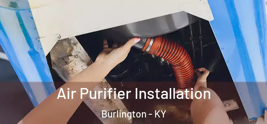  Air Purifier Installation Burlington - KY