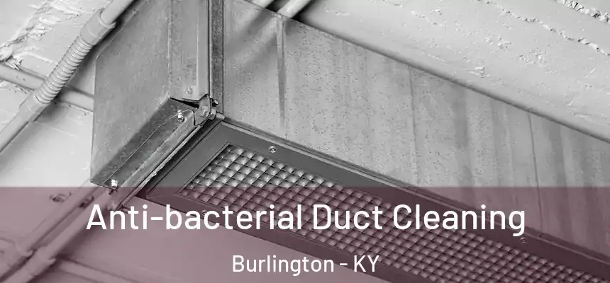  Anti-bacterial Duct Cleaning Burlington - KY