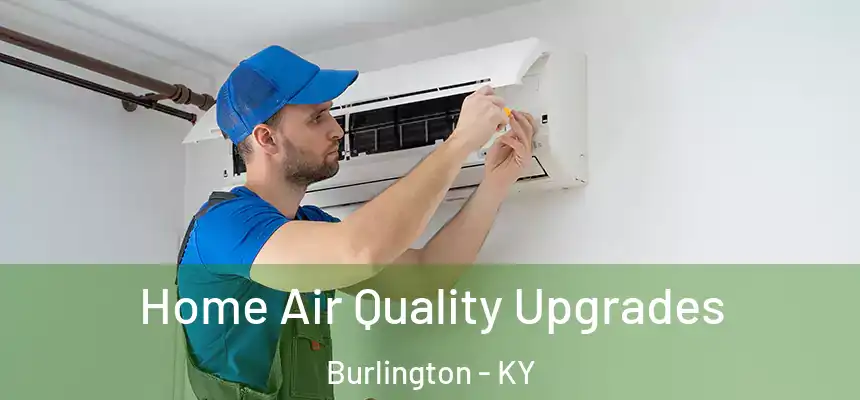  Home Air Quality Upgrades Burlington - KY