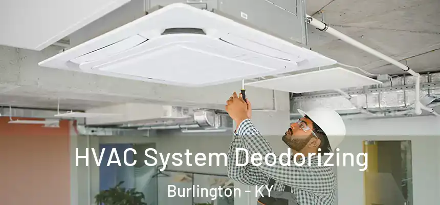  HVAC System Deodorizing Burlington - KY