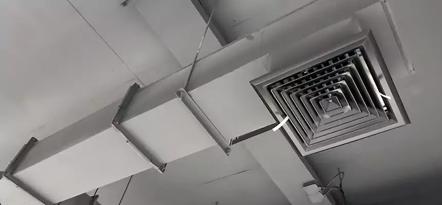 Our Rodent Droppings In Vents Services in Burlington, KY