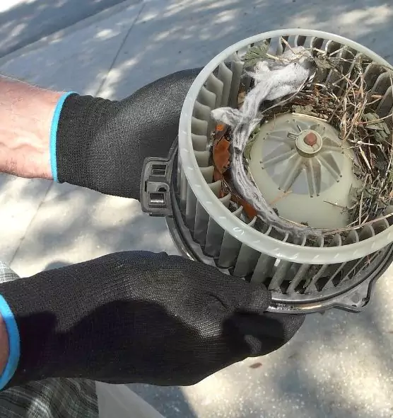 About Air Duct Mice Removal in Burlington, KY