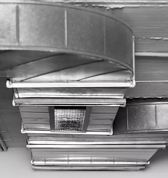 Professional Air Duct Pest Removal in Burlington, KY