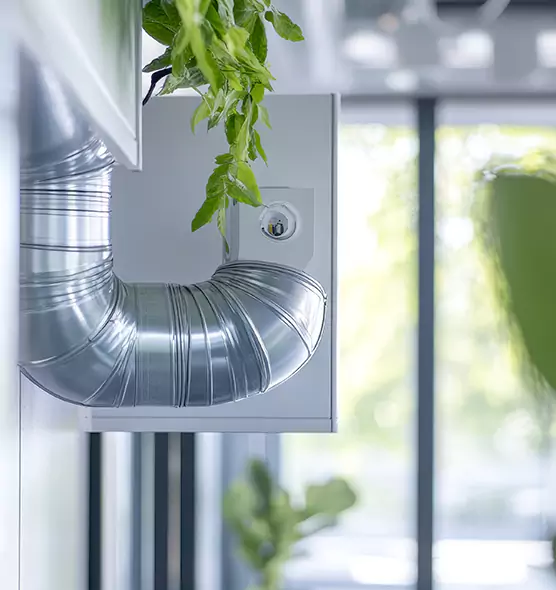 Professional Eco-Safe Dryer Vent Cleaning in Burlington, KY