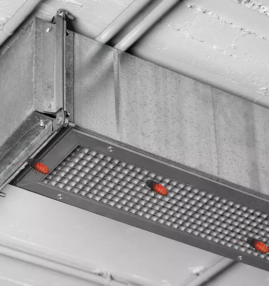 Affordable Insect Removal from Air Ducts in Burlington, KY