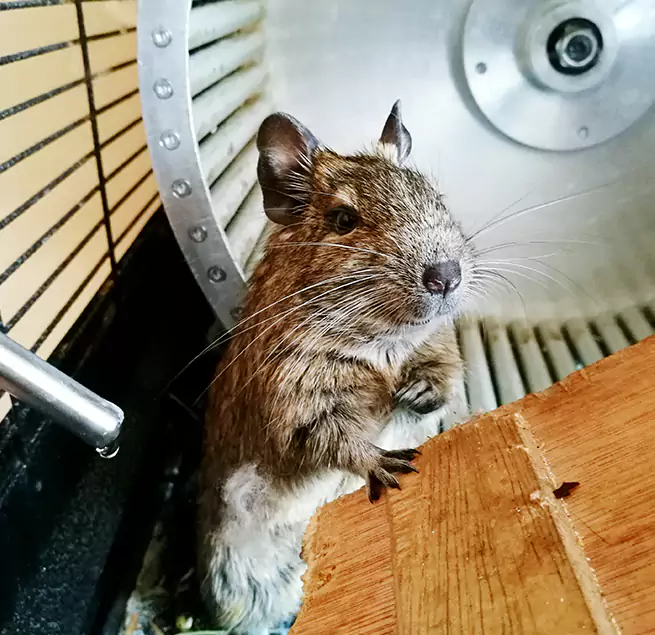 Why Homeowners & Businesses Trust Us Burlington, KY