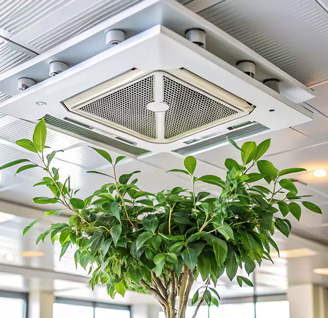 Why Homeowners & Businesses Trust Us in Burlington, KY