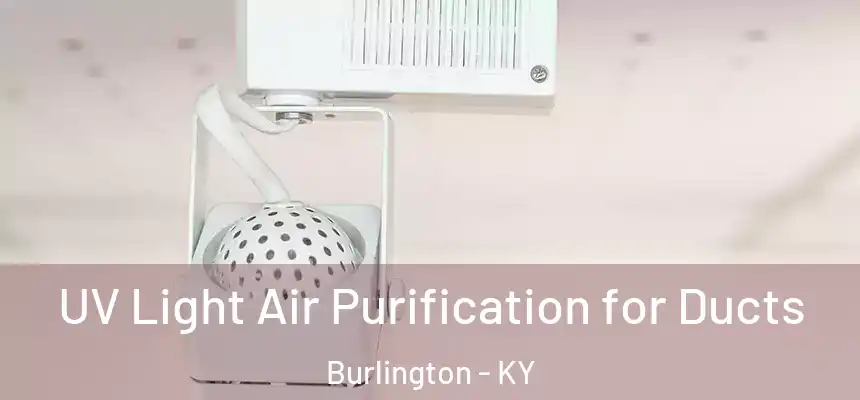  UV Light Air Purification for Ducts Burlington - KY