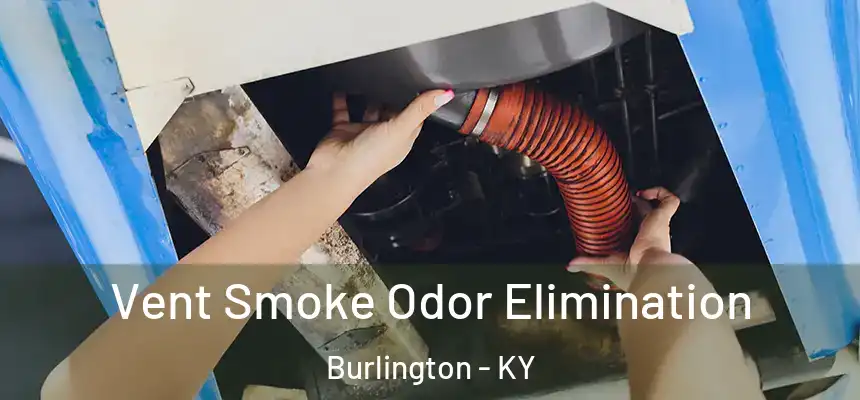  Vent Smoke Odor Elimination Burlington - KY