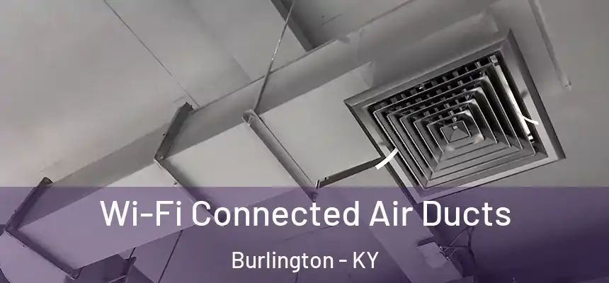  Wi-Fi Connected Air Ducts Burlington - KY